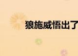 狼施威悟出了什么道理（狼施威）