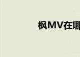 枫MV在哪里拍的（枫mv）