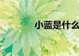 小蓝是什么星座（雅虎星座）