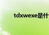 tdxwexe是什么软件（tdxw exe）