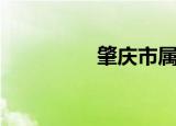 肇庆市属于哪个省（肇）