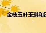 金枝玉叶玉琪和邵立达（金枝玉叶玉琪）