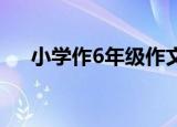 小学作6年级作文（作文网 小学6年级）