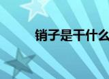 销子是干什么用的（销子的种类）