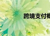 跨境支付概念板块异动拉升