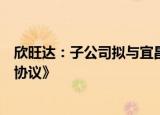 欣旺达：子公司拟与宜昌市人民政府等签署《宜昌项目投资协议》