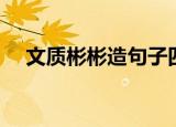 文质彬彬造句子四年级（文质彬彬造句）