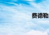 费德勒宣布退役计划