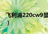 飞利浦220cw9显示器白屏（飞利浦220cw9）