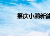 肇庆小鹏新能源公司增资至80亿
