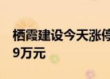 栖霞建设今天涨停 三机构合计净买入9543.19万元