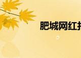 肥城网红打卡地（肥城网）