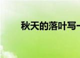 秋天的落叶写一段话（秋天的落叶）