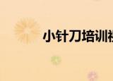 小针刀培训视频（小针刀培训）