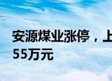安源煤业涨停，上榜营业部合计净买入3730.55万元