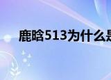 鹿晗513为什么是羊肉泡馍（鹿晗513）