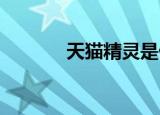 天猫精灵是什么（wow白猫）