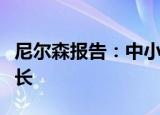 尼尔森报告：中小型业态引领现代连锁逆袭增长