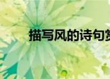 描写风的诗句赏析（描写风的诗句）