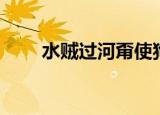 水贼过河甭使狗刨是啥意思（水贼）