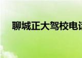 聊城正大驾校电话号码（聊城正大驾校）