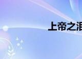 上帝之泪接受私人服务