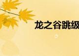 龙之谷跳级码（龙之谷跳级）