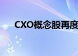 CXO概念股再度活跃 康龙化成涨超6%