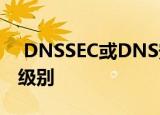  DNSSEC或DNS安全扩展提供了附加的安全级别