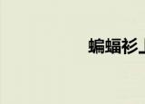 蝙蝠衫上衣（蝙蝠衫）