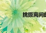 挑拨离间的人（挑拨离间）