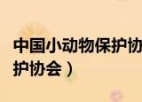 中国小动物保护协会广州分会（中国小动物保护协会）