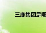 三鹿集团是哪个省的（三鹿集团）