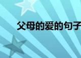 父母的爱的句子唯美简短（父母的爱）