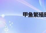 甲鱼繁殖时间（甲鱼繁殖）