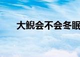 大鲵会不会冬眠（大鲵冬天会冬眠吗）