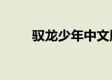 驭龙少年中文版1（驭龙少年国语）