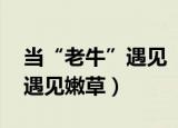 当“老牛”遇见“嫩草” 瞬间倾城（当老牛遇见嫩草）
