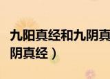 九阳真经和九阴真经达摩祖师（九阳真经和九阴真经）
