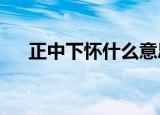 正中下怀什么意思?（正中下怀的意思）