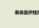 泰森盖伊挂挡视频（泰森盖伊）