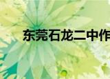 东莞石龙二中作文网（东莞石龙二中）