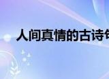 人间真情的古诗句子（人间真情的古诗）