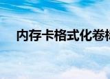 内存卡格式化卷标是什么（卷标是什么）