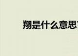翔是什么意思?（热翔是什么意思）