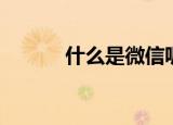 什么是微信呢（微信是什么啊）