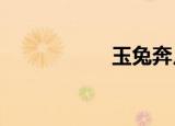 玉兔奔月（yutube）
