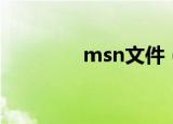 msn文件（msn账号格式）
