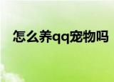怎么养qq宠物吗（qq宠物结婚有什么用）