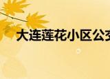 大连莲花小区公交线路（大连莲花小区）